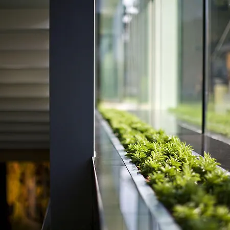 酒店 美容与购物中心泽纳酒店 4*