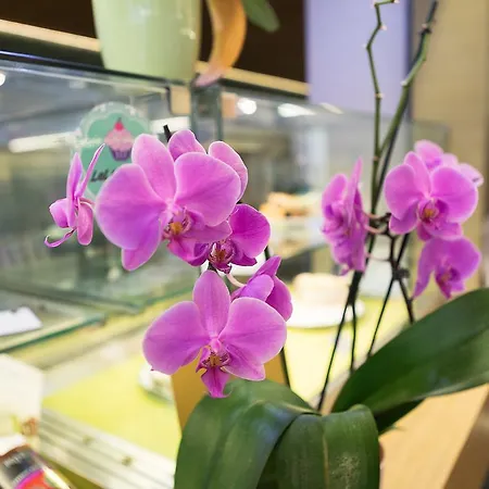 Zena Beauty & Shopping Center Hévíz