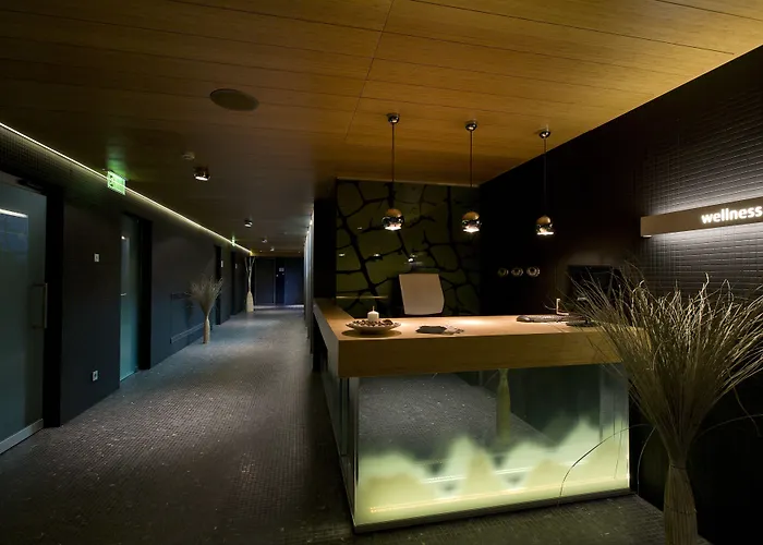 Zena Beauty & Shopping Center ホテル 4*