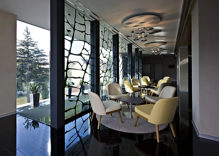 美容与购物中心泽纳酒店 Hévíz