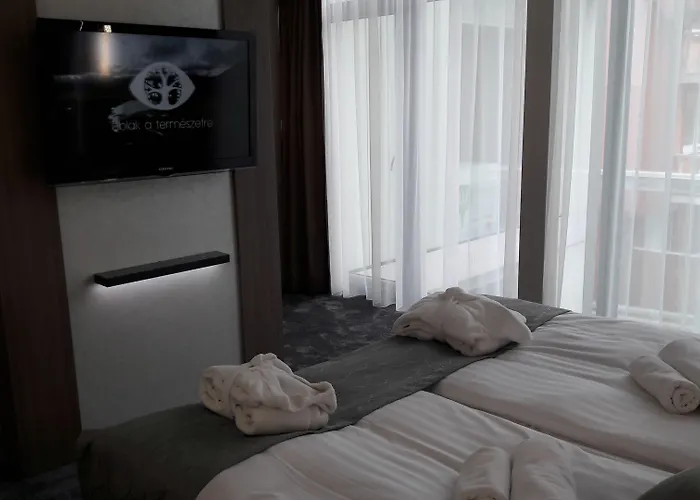 美容与购物中心泽纳酒店 Hévíz