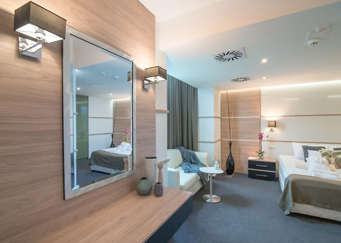 美容与购物中心泽纳酒店