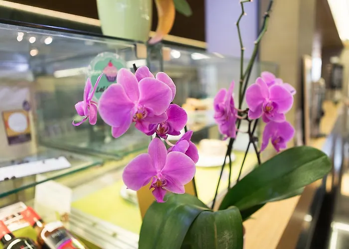 Zena Beauty & Shopping Center ヘーヴィーズ